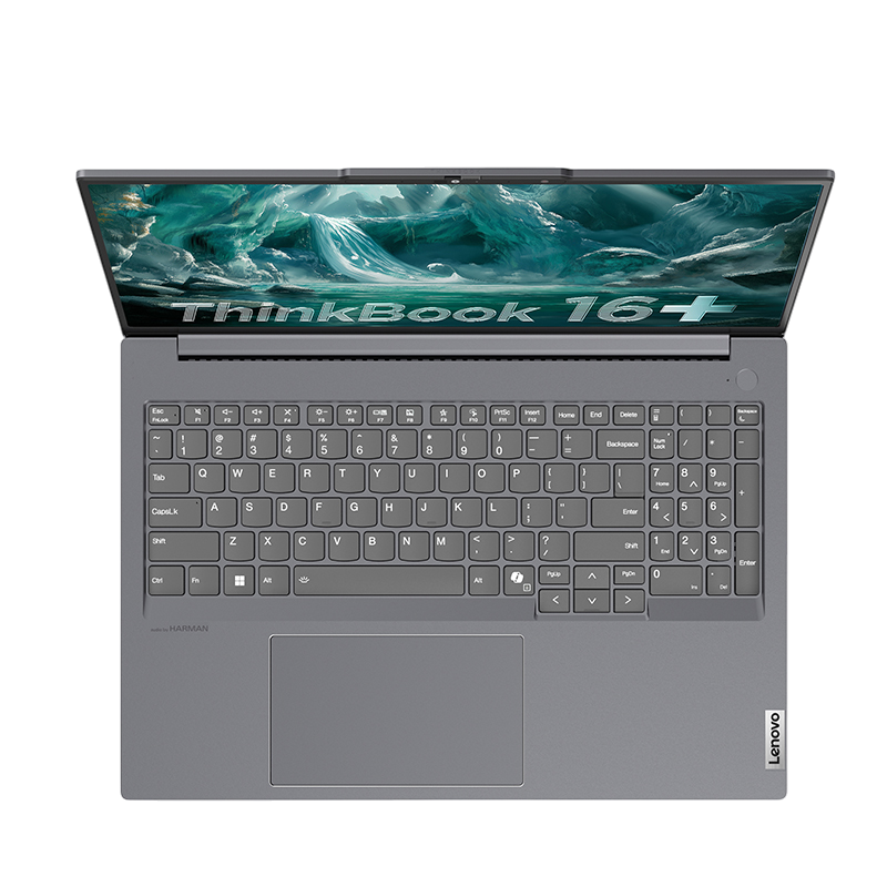ThinkBook 16+ 2025 Серый